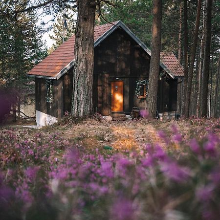 Ferienwohnung Sumska Kuca Kaludjerske Bare Exterior foto